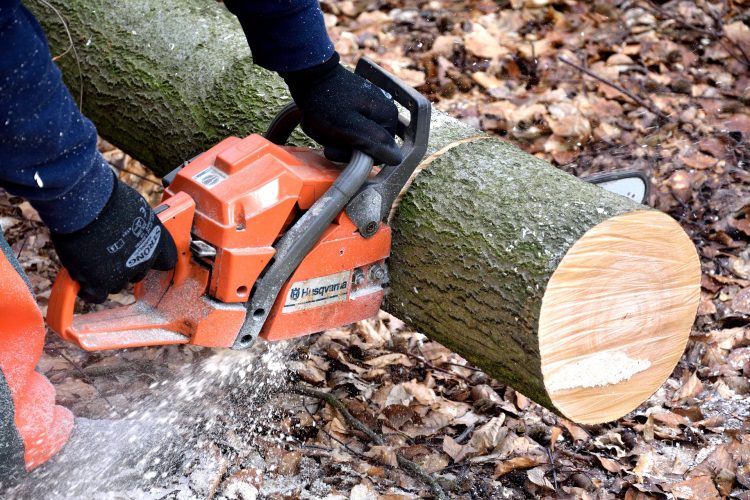 切削加工木材 木こり チェーンソー 木工品 木の幹 木材