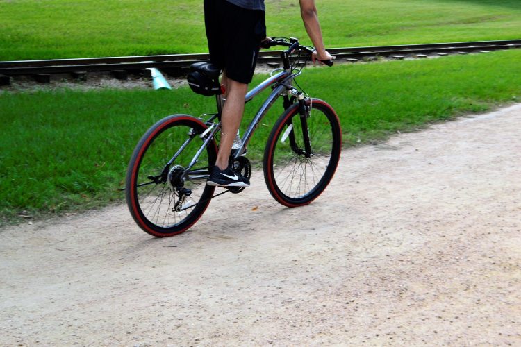 マウンテン バイク 自転車 運動 健康 高速 トレーニング 交通 ホイール ペダル 体力