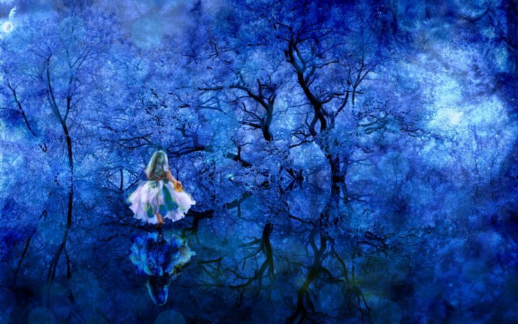 妖精 森林 魔法 冬 木 反射 星 神秘的です おとぎ話 花 青 楽しい 子 ドレス